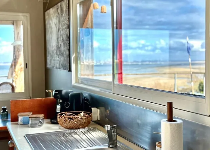 La Sauvagine Les Pieds Dans L'eau *