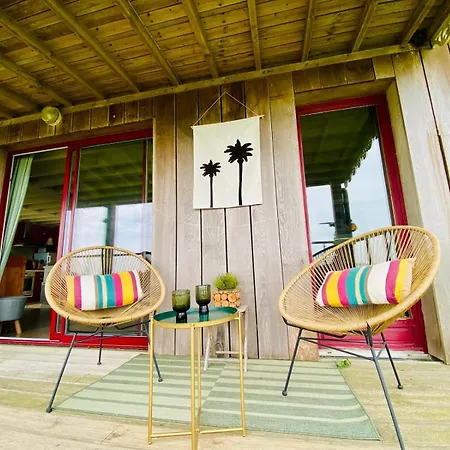 La Sauvagine Les Pieds Dans L'eau